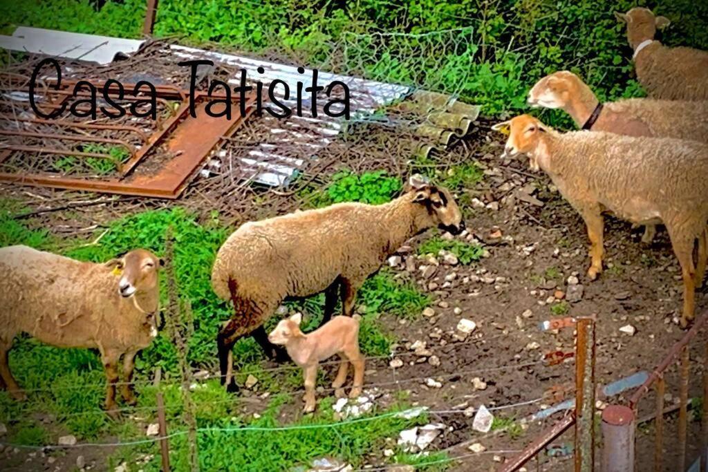 Casa Tatisita Buhardilla Apartman Segura de la Sierra Kültér fotó